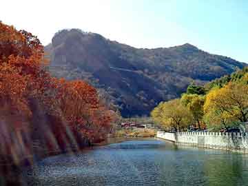 新澳天天开奖资料大全旅游团，畅销小说